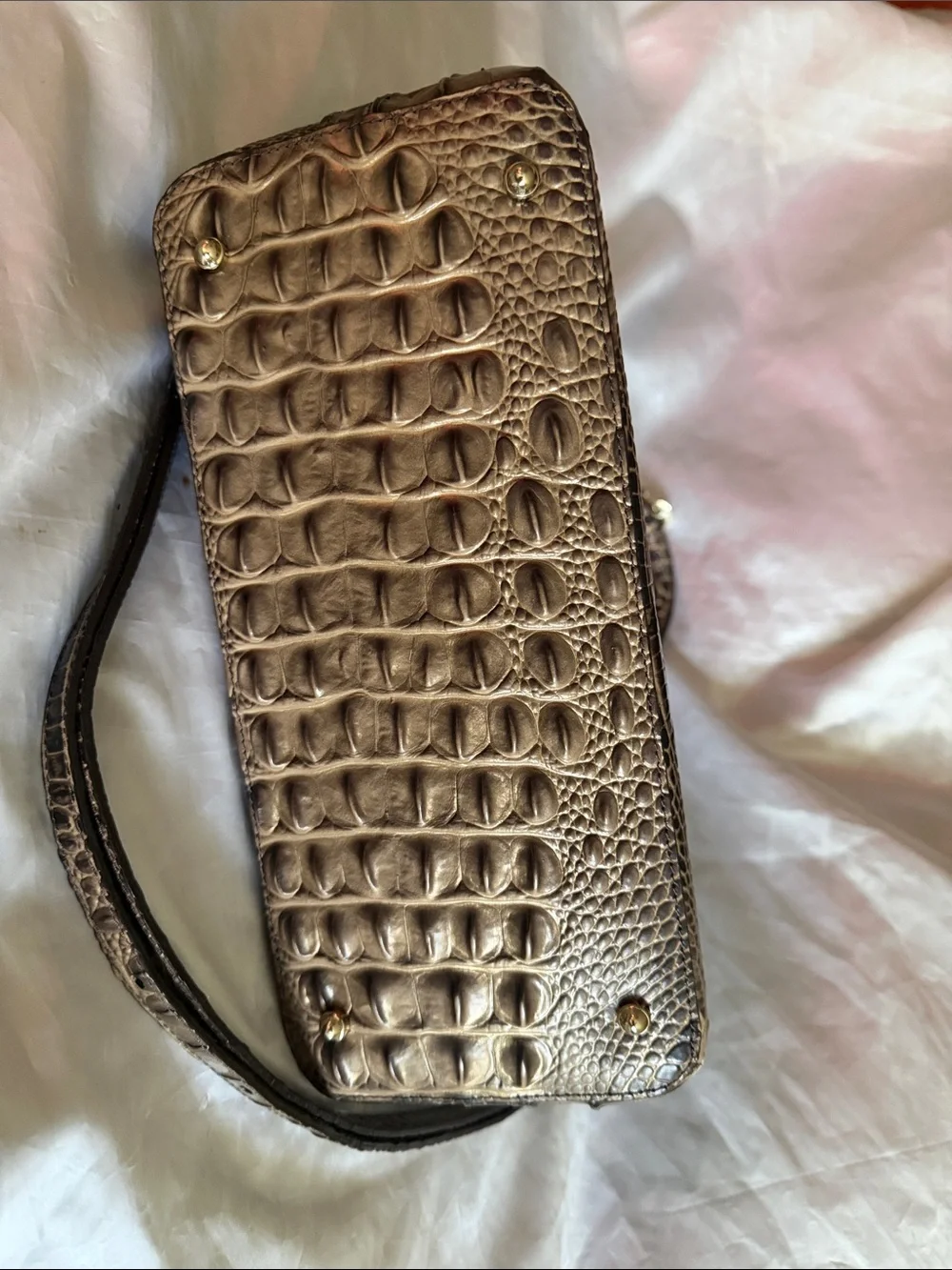 Brahmin approx 12